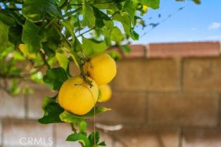 Condominium, 4516 Streamport dr, Riverside, CA 92505 - 27