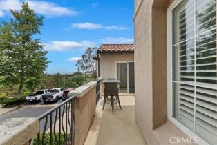 Condominium, 1 Sorrento ct, Newport Coast, CA 92657 - 16