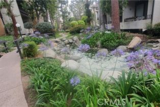 Condominium, 8114 Manitoba st, Playa Del Rey , CA 90293 - 38