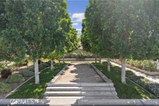 , 3500 Buchanan st, Riverside, CA 92503 - 22