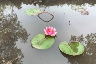 , 0 Rancho Heights Road, Valley Center, CA 92082 - 10