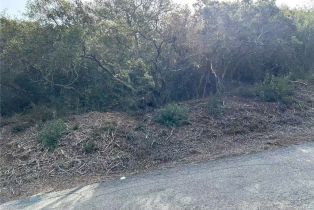 , 0 Rancho Heights Road, Valley Center, CA 92082 - 33