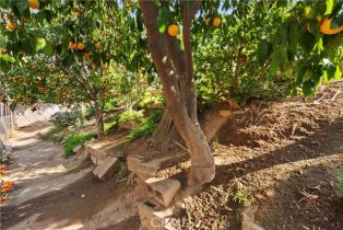 Single Family Residence, 1025 Monte Vista dr, Riverside, CA 92507 - 44