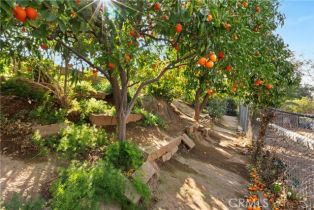 Single Family Residence, 1025 Monte Vista dr, Riverside, CA 92507 - 45