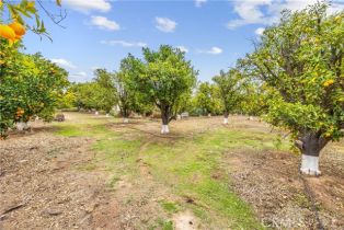 Single Family Residence, 18019 Twin Lakes dr, Riverside, CA 92508 - 54