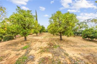 Single Family Residence, 18019 Twin Lakes dr, Riverside, CA 92508 - 61