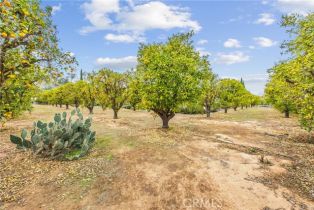 Single Family Residence, 18019 Twin Lakes dr, Riverside, CA 92508 - 63