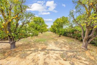 Single Family Residence, 18019 Twin Lakes dr, Riverside, CA 92508 - 64