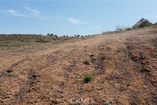 , 338 Eternal way, Riverside, CA 92506 - 17