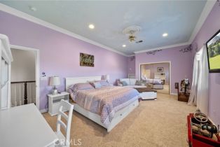 Single Family Residence, 31014 Jedediah Smith rd, Temecula, CA 92592 - 52