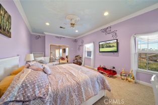 Single Family Residence, 31014 Jedediah Smith rd, Temecula, CA 92592 - 53