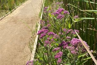 Condominium, 2176 Coast, Oceanside, CA 92054 - 30