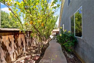 Single Family Residence, 11126 Whitebark ln, Corona, CA 92883 - 39