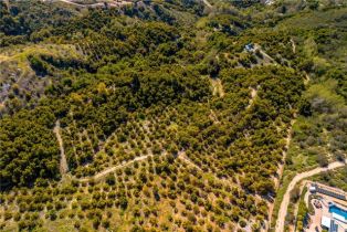 , 22103 Carancho, Temecula, CA 92590 - 24