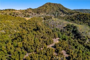 , 22103 Carancho, Temecula, CA 92590 - 8