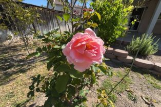 Single Family Residence, 821 Atlantic cir, Corona, CA 92882 - 10