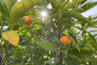 Single Family Residence, 821 Atlantic cir, Corona, CA 92882 - 9