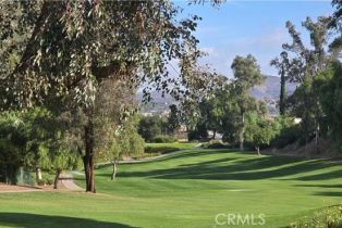 , 23057 Big Tee dr, Canyon Lake, CA 92587 - 12