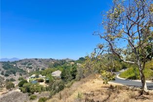 , 27591 Rolling Wood ln, San Juan Capistrano, CA 92675 - 12