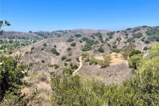 , 27591 Rolling Wood ln, San Juan Capistrano, CA 92675 - 31