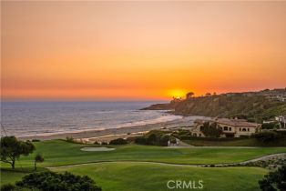 Single Family Residence, 13 Ritz Cove dr, Dana Point, CA 92629 - 22