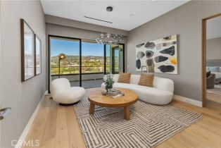 Single Family Residence, 13 Ritz Cove dr, Dana Point, CA 92629 - 40