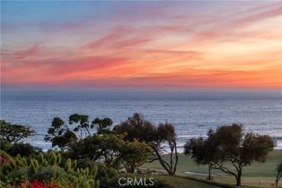 Single Family Residence, 13 Ritz Cove dr, Dana Point, CA 92629 - 60