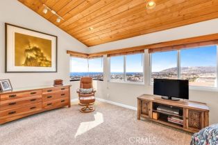 Townhouse, 24101 Gourami Bay, Dana Point, CA 92629 - 23