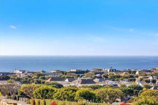 Townhouse, 24101 Gourami Bay, Dana Point, CA 92629 - 33