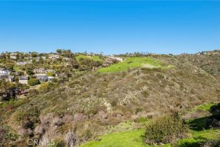 , 1477 Cerritos, Laguna Beach, CA 92651 - 14