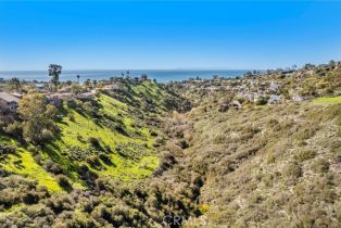 , 1477 Cerritos, Laguna Beach, CA 92651 - 17