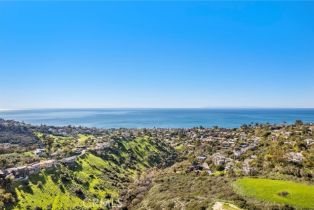 , 1477 Cerritos, Laguna Beach, CA 92651 - 22