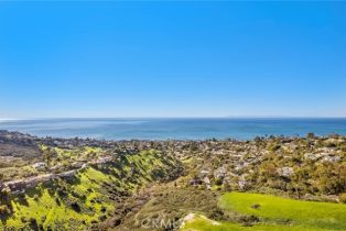 , 1477 Cerritos, Laguna Beach, CA 92651 - 23
