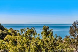 , 1477 Cerritos, Laguna Beach, CA 92651 - 4