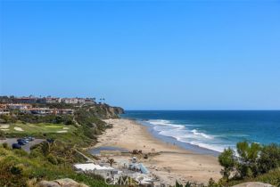 Single Family Residence, 31 Monarch Bay dr, Dana Point, CA 92629 - 48