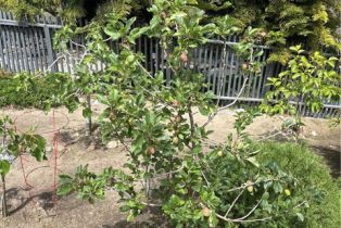 Single Family Residence, 766 Pelican, Laguna Beach, CA 92651 - 55