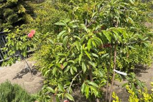 Single Family Residence, 766 Pelican, Laguna Beach, CA 92651 - 56