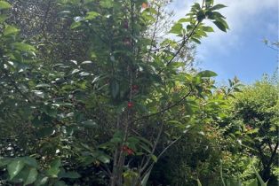 Single Family Residence, 766 Pelican, Laguna Beach, CA 92651 - 57