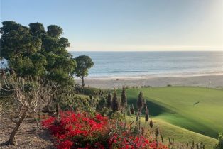 Single Family Residence, 21 Ritz Cove dr, Dana Point, CA 92629 - 51