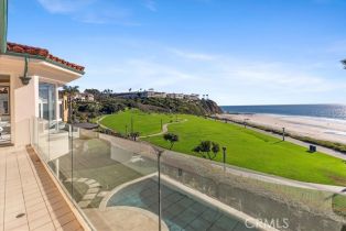 Single Family Residence, 21 Ritz Cove dr, Dana Point, CA 92629 - 66