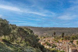Single Family Residence, 35 Brindisi, Laguna Niguel, CA 92677 - 35