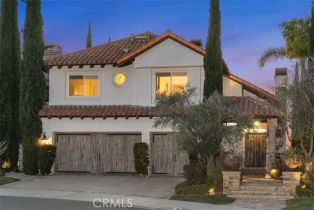 Single Family Residence, 35 Brindisi, Laguna Niguel, CA 92677 - 38