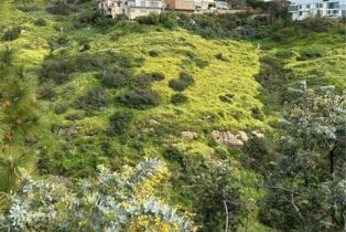 Single Family Residence, 2335 Hillview drive, Laguna Beach, CA 92651 - 15