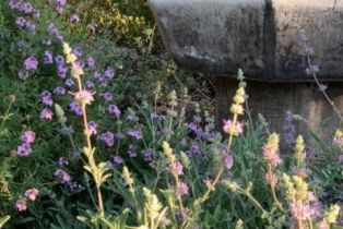 Single Family Residence, 2335 Hillview drive, Laguna Beach, CA 92651 - 35