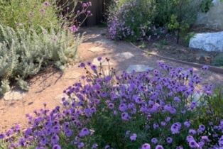 Single Family Residence, 2335 Hillview drive, Laguna Beach, CA 92651 - 37