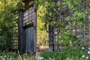 Single Family Residence, 2335 Hillview drive, Laguna Beach, CA 92651 - 39