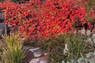 Single Family Residence, 2335 Hillview drive, Laguna Beach, CA 92651 - 41