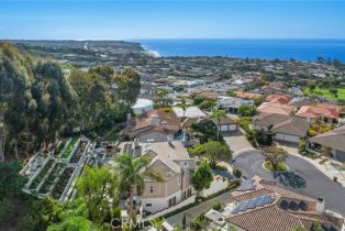 Single Family Residence, 22911 Via Orvieto, Dana Point, CA 92629 - 43