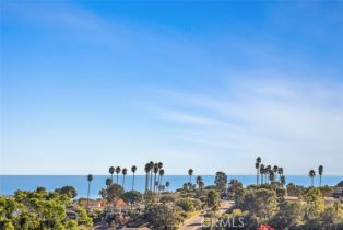 Single Family Residence, 31232 Palma drive, Laguna Niguel, CA 92677 - 2