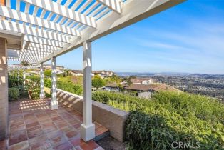 Single Family Residence, 31232 Palma drive, Laguna Niguel, CA 92677 - 27